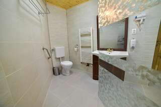 Виллы Casa Banu Сибиу Вилла с 3 спальнями-21