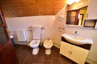 Виллы Casa Banu Сибиу Вилла с 3 спальнями-28