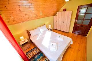 Виллы Casa Banu Сибиу Вилла с 3 спальнями-31