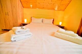 Виллы Casa Banu Сибиу Вилла с 3 спальнями-43