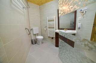 Виллы Casa Banu Сибиу Вилла с 3 спальнями-57