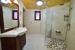 Виллы Casa Banu Сибиу Вилла с 3 спальнями-58