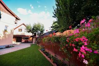 Виллы Casa Banu Сибиу Вилла с 3 спальнями-74